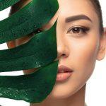 Winter Skin Care Tips
